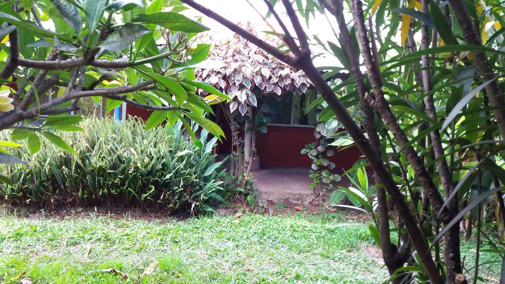 Tupa Hotel Hanga Roa Exterior photo